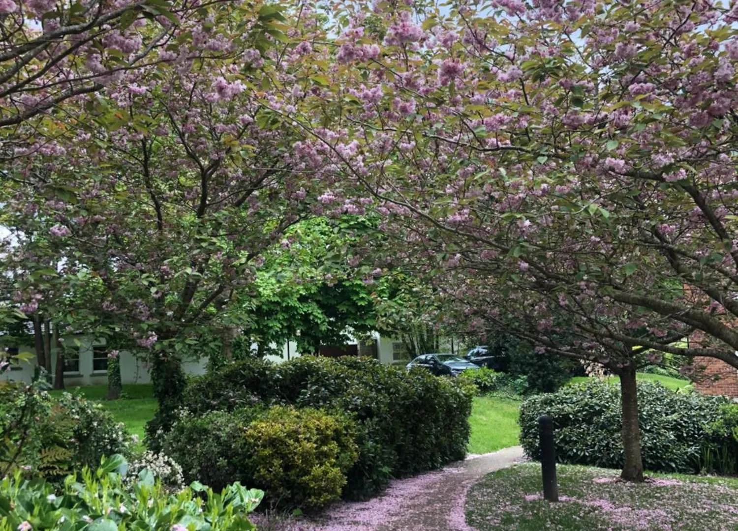 Marlay & Mountain Retreat Lejlighed Dublin